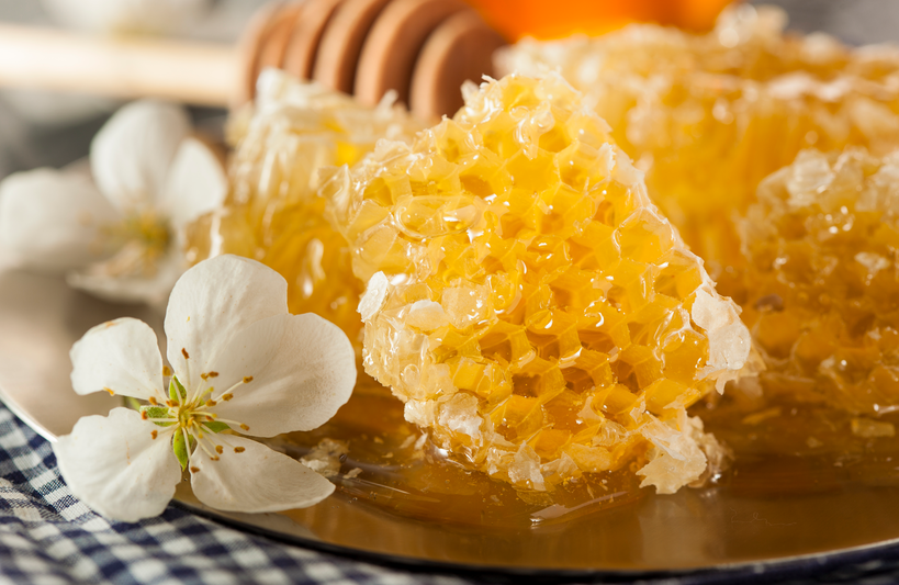 微信图片_20250304095345