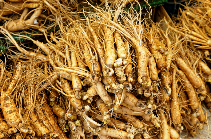 解析中药药效核心：入血成分分析助力中医药现代化发展！